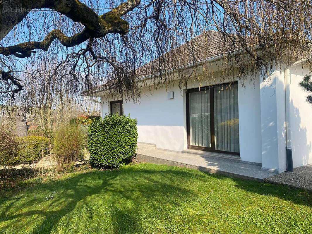 Maison à WISSEMBOURG