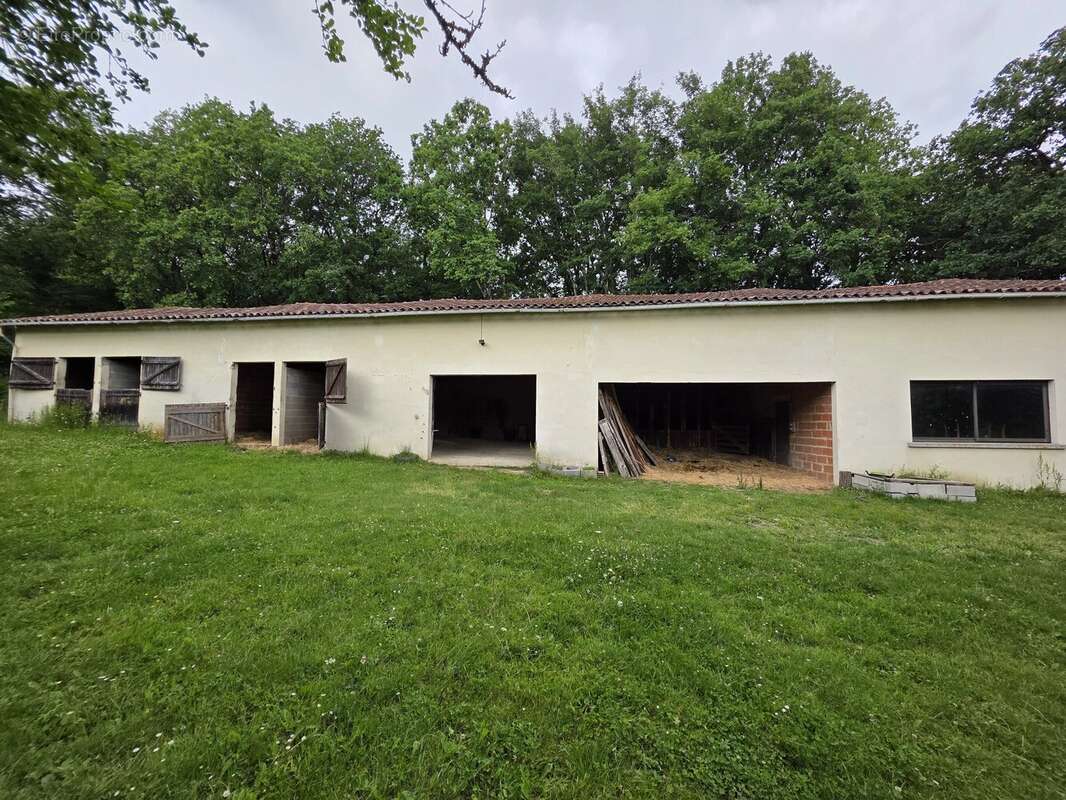 Spacieuse maison familiale et domaine équestre - photo 20