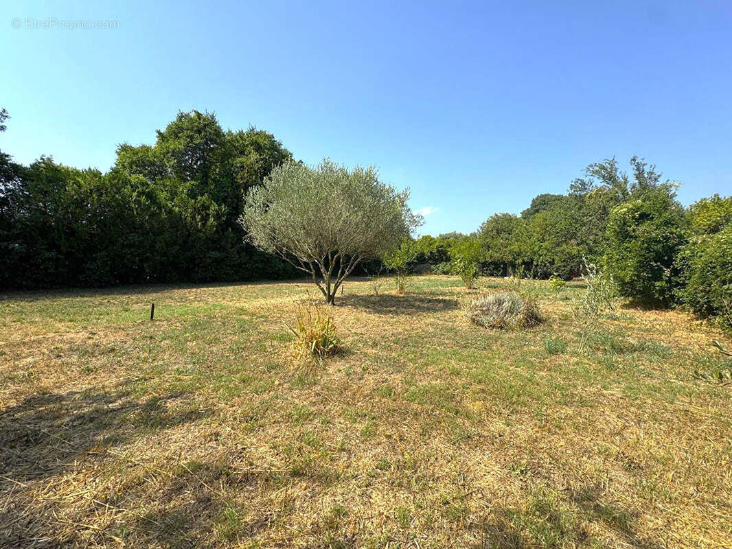 Terrain libre constructeur 905 m² - bagnols-sur-cèze - photo 4