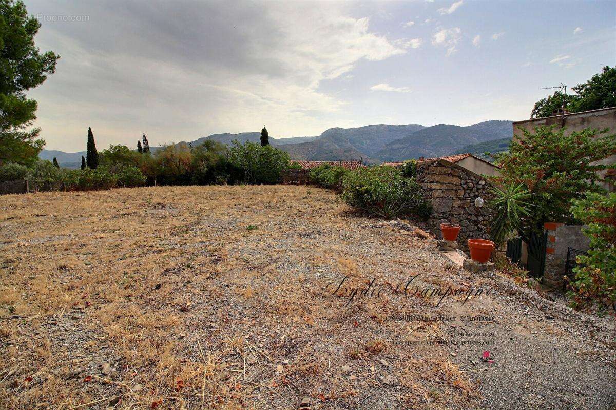 Maison vigneronne avec dépendance habitable, grand garage et terrain constructible - photo 3