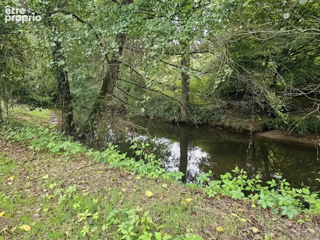 Une remarquable demeure historique offrant espace, caractère et jardin en bord de rivière. - photo 21
