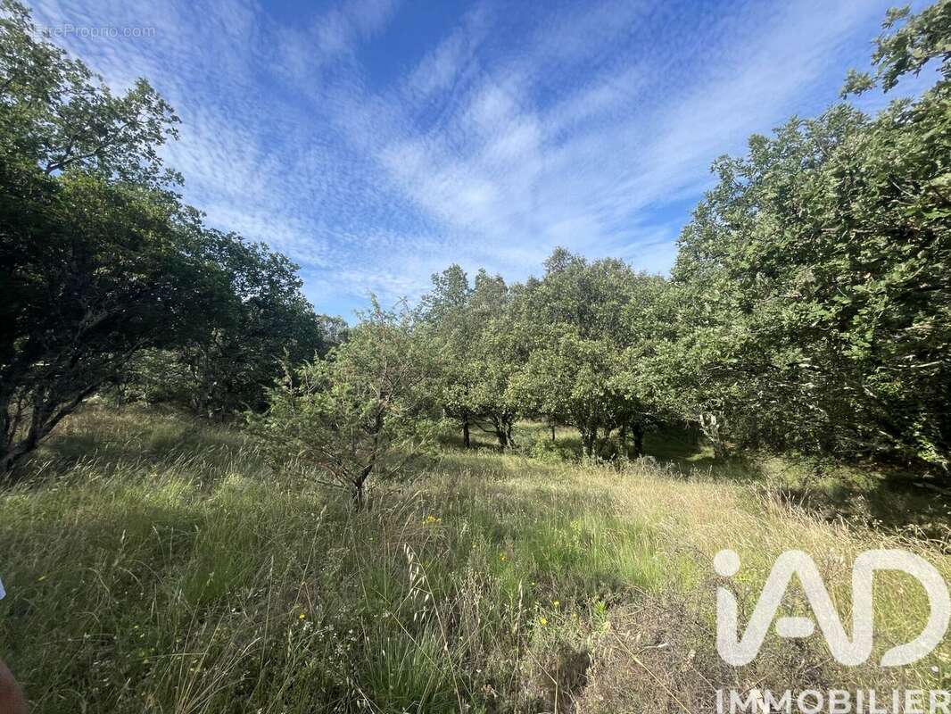 Photo 3 - Terrain à LAGORCE