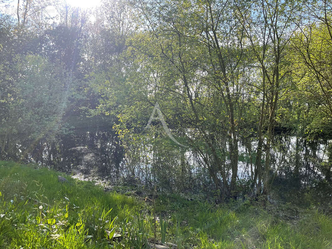 Terrain à NIEUL-LE-DOLENT