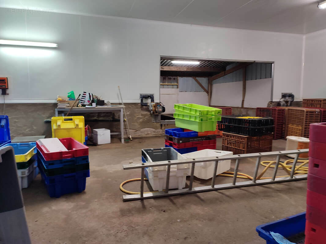 Commerce à PLEVENON