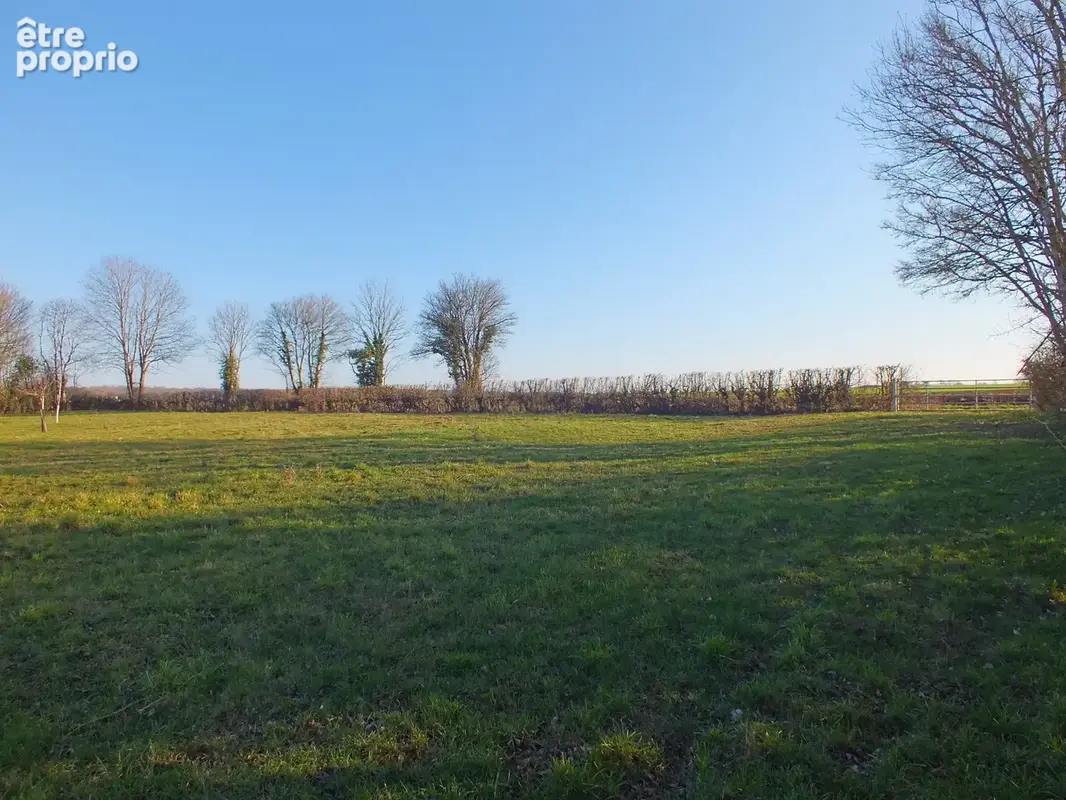 Terrain à MUSIGNY