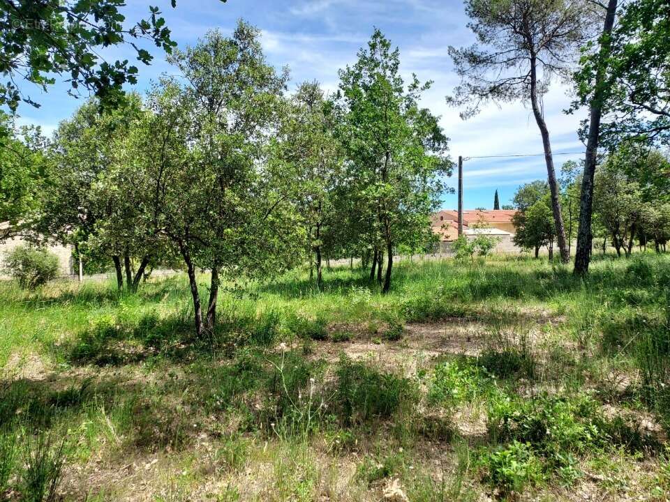 Terrain 655 m² à Gareoult  - photo 3