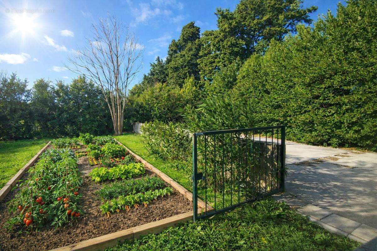 Maison à CAMARET-SUR-AIGUES