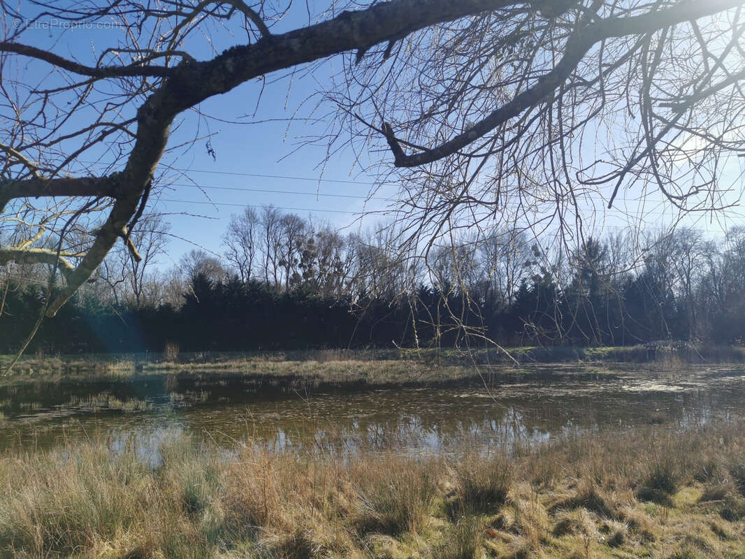 Maison à PRUNIERS-EN-SOLOGNE