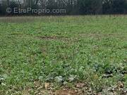 Terrain à BOURGNEUF-EN-RETZ