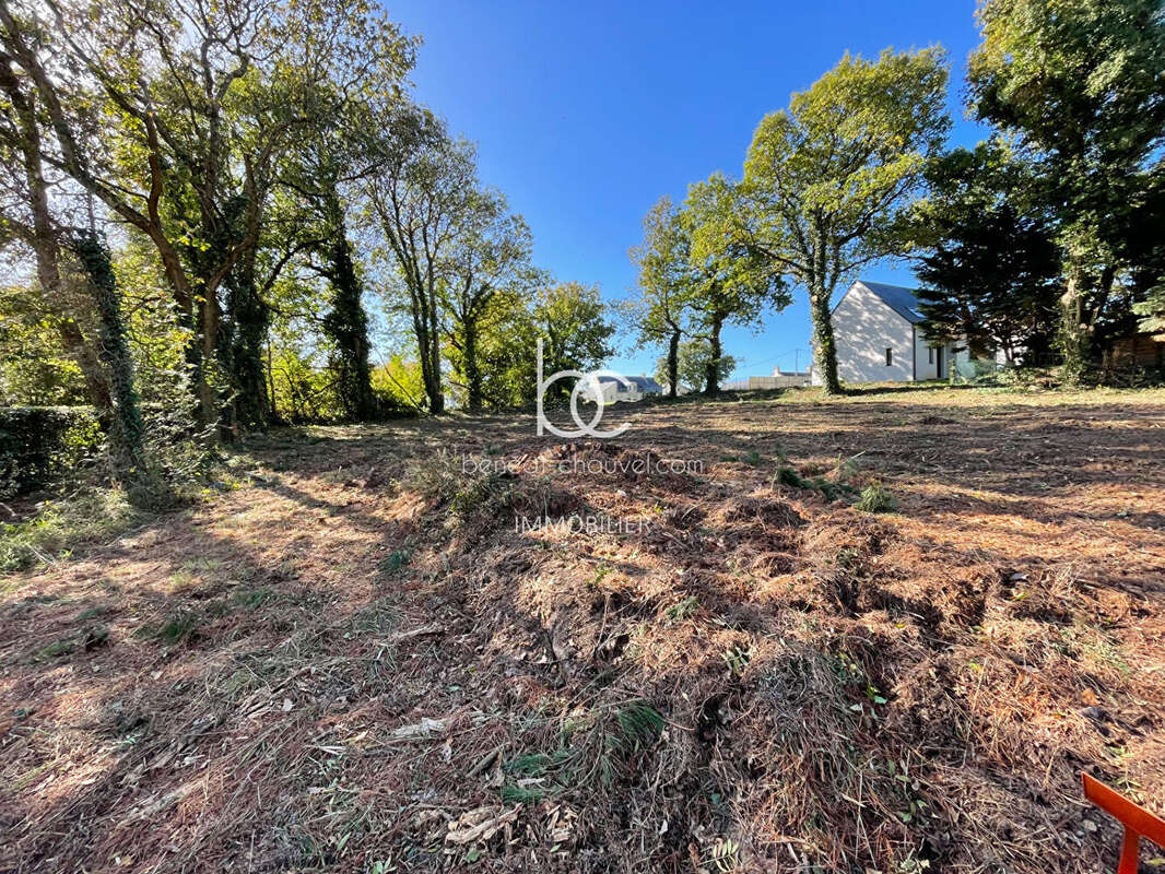 Terrain à SARZEAU
