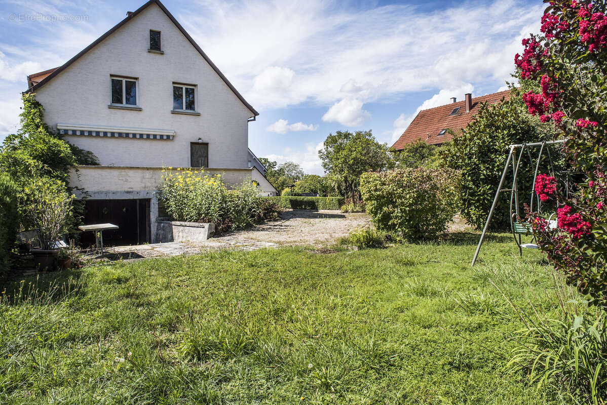 Maison à SESSENHEIM