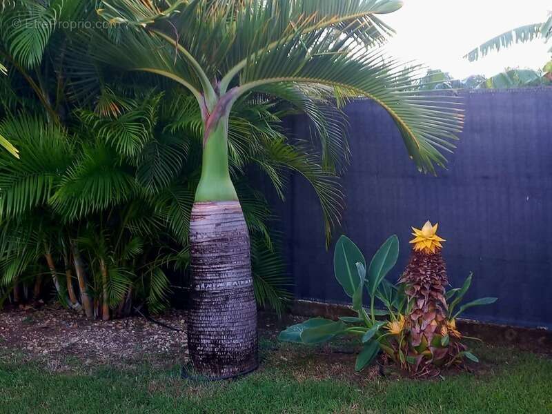 Maison à SAINT-FRANCOIS