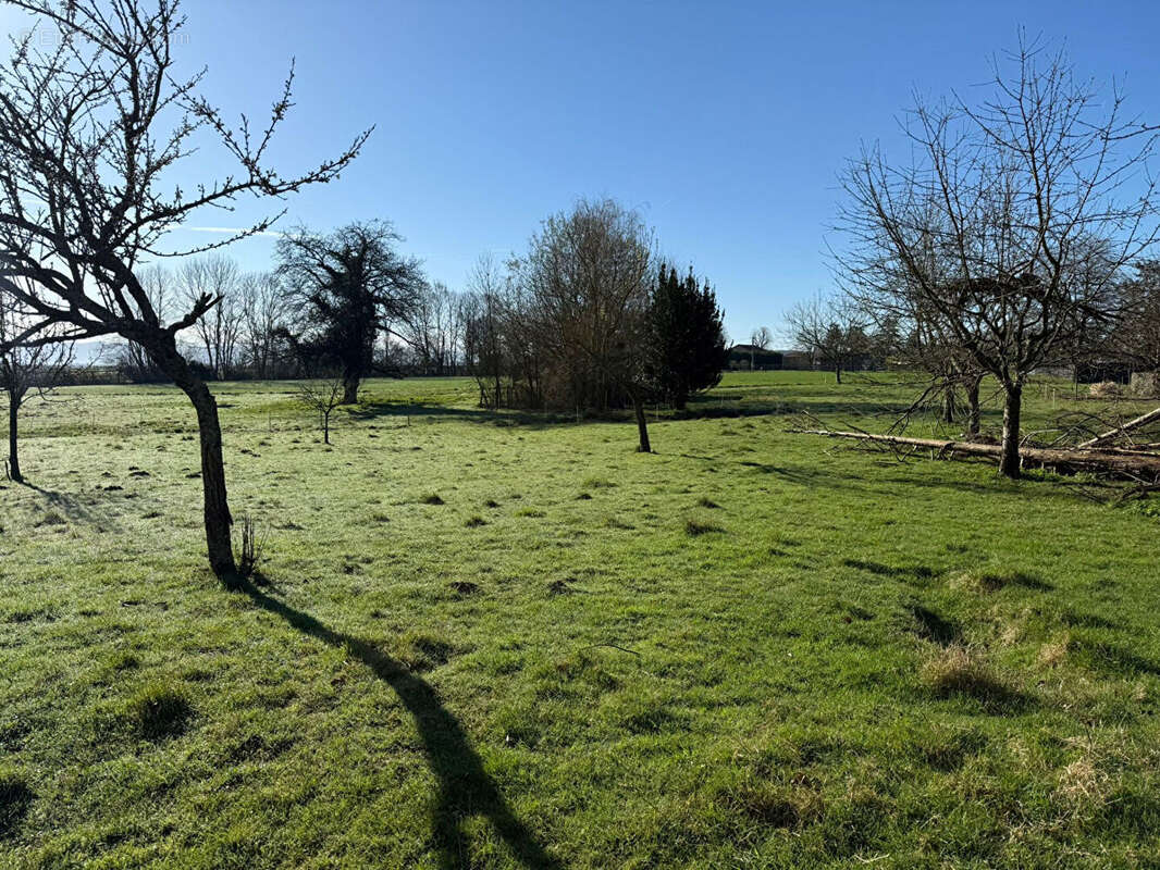 Terrain à SAINT-MARTIN-DU-MONT