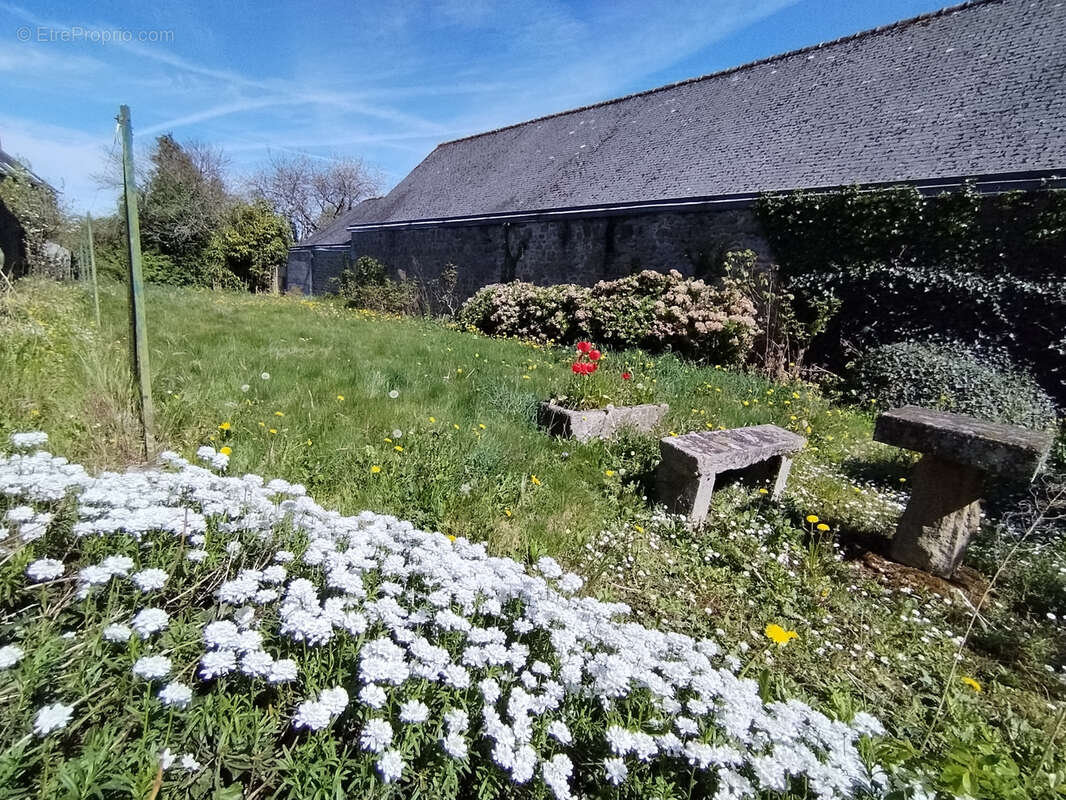 Maison à LOUVIGNE-DU-DESERT