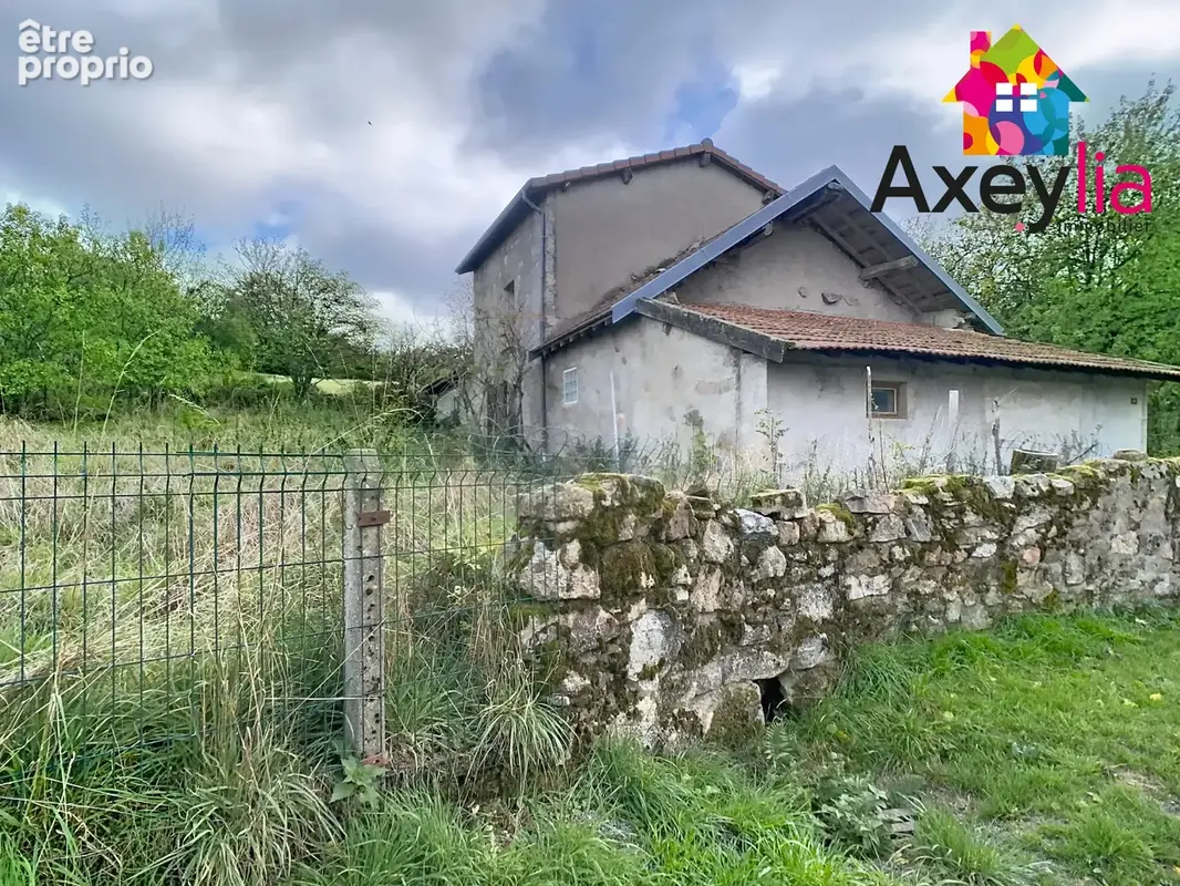 A vendre- saint-nicolas-des-biefs- maison avec studio attenant et garage - photo 3