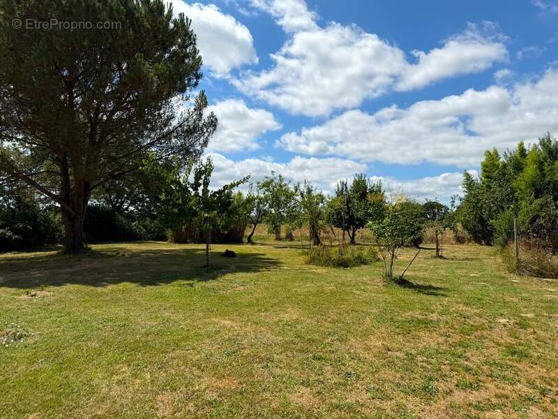Domaine plein de charme de 250M2 avec dépendances, gîtes dans un écrin de verdure Proche de MONT DE MARSAN au HOUGA - photo 18