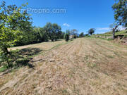 Terrain à TOURETTE-DU-CHATEAU