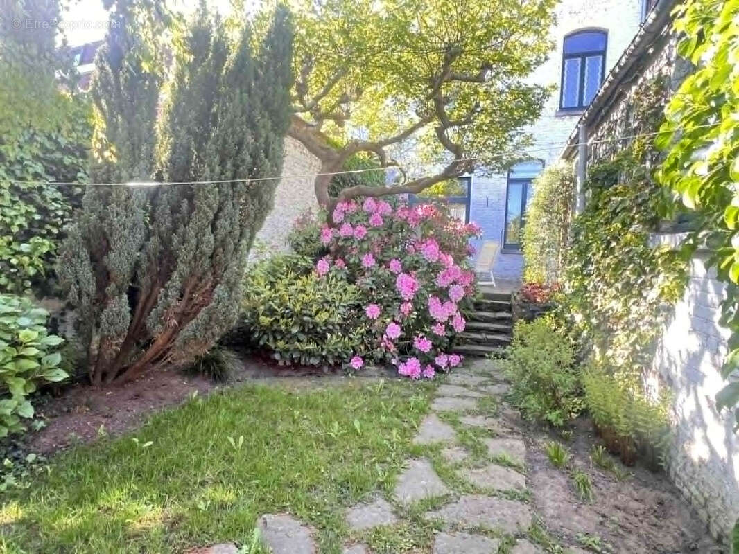 Maison à BOUSBECQUE