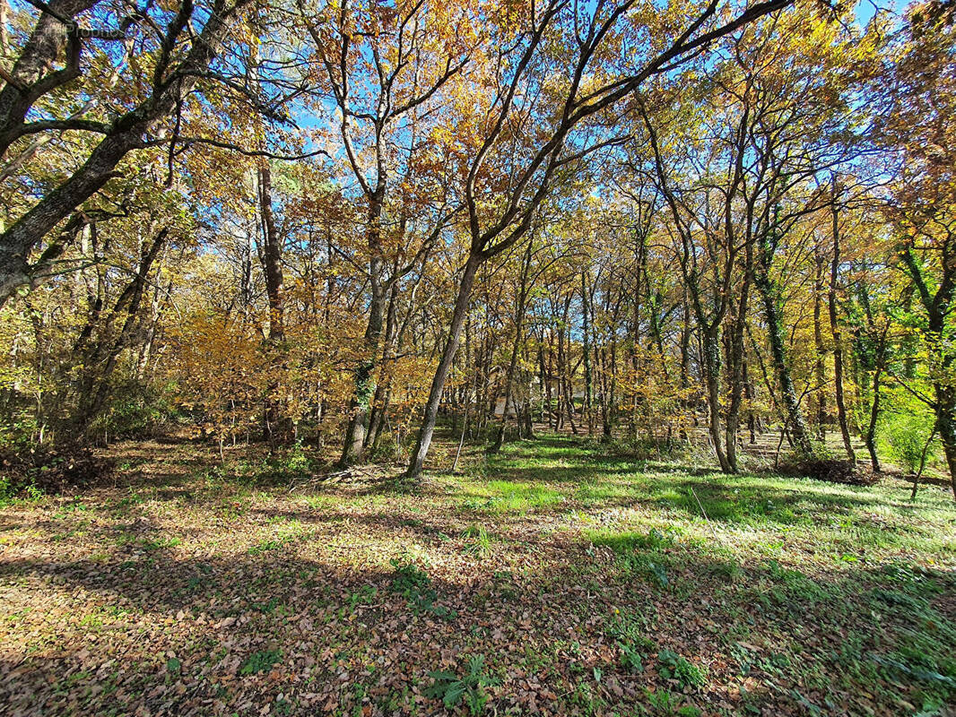 Terrain à MONCLAR-DE-QUERCY