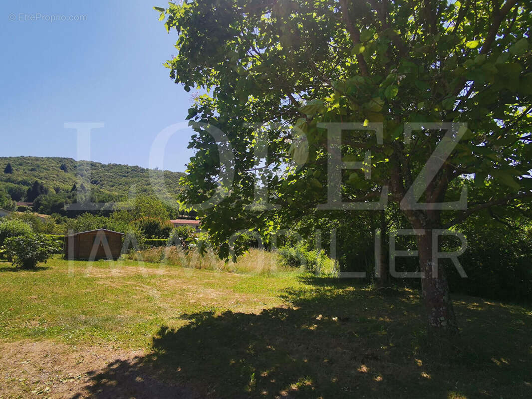 Terrain à MAZAMET