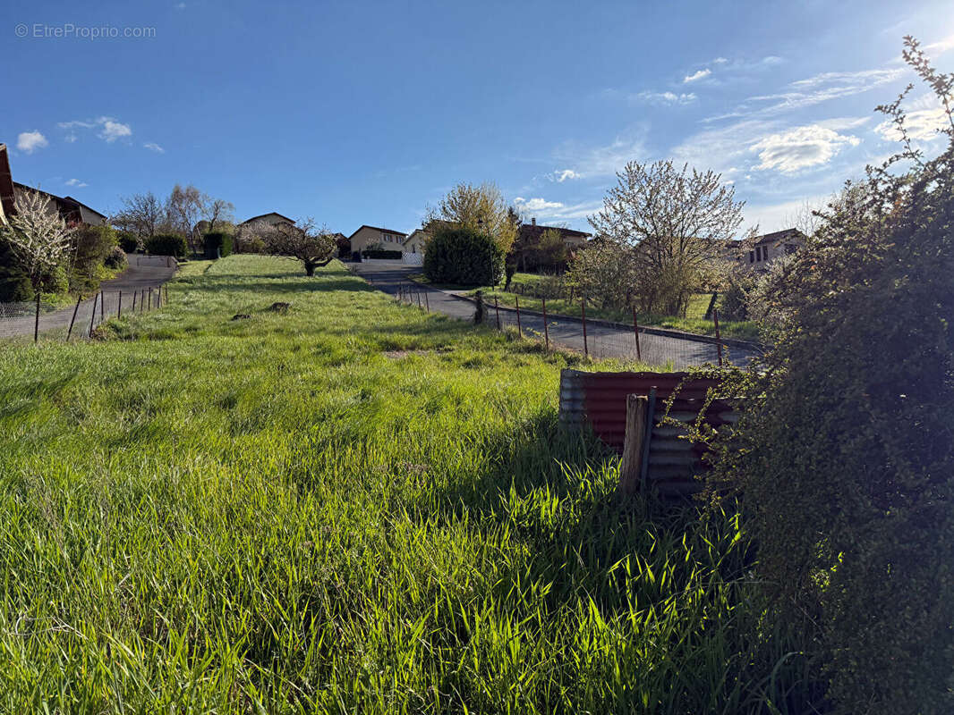 Terrain à POUILLY-LE-MONIAL