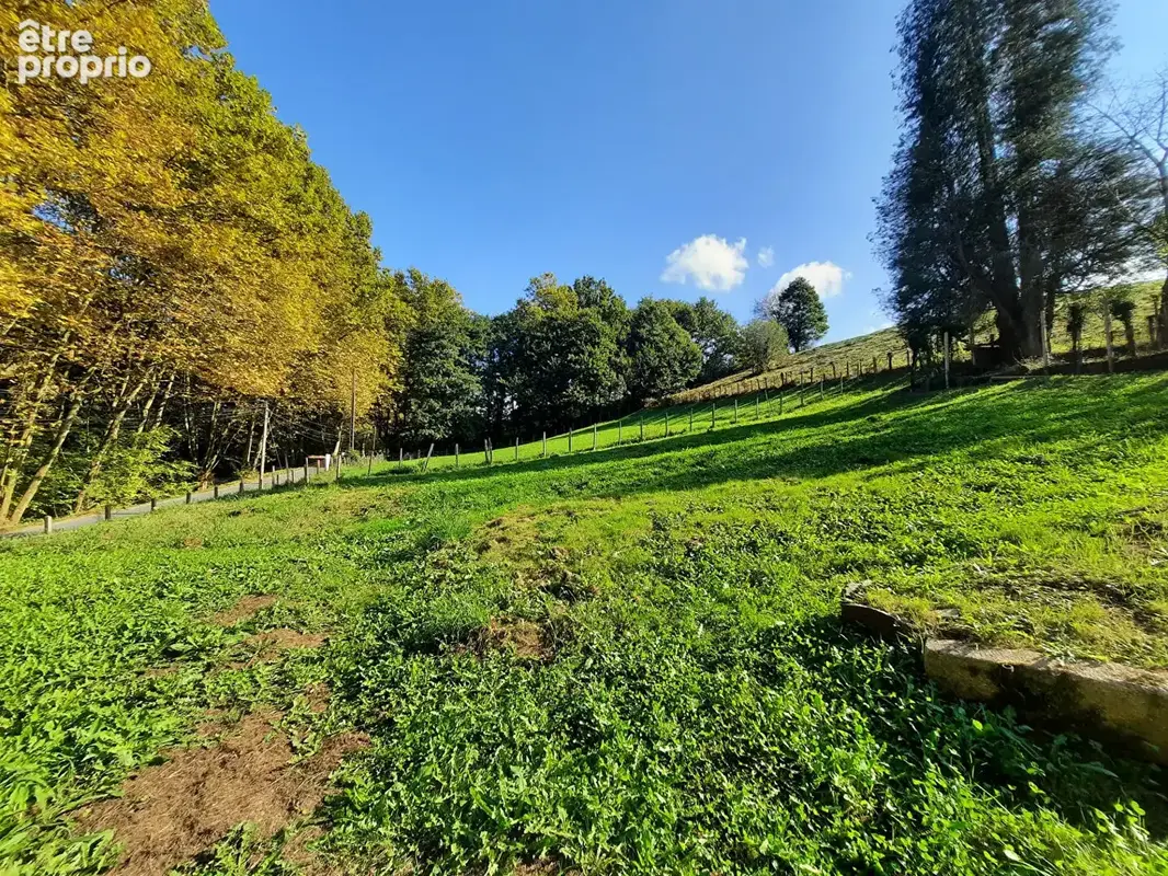 Terrain à SARE