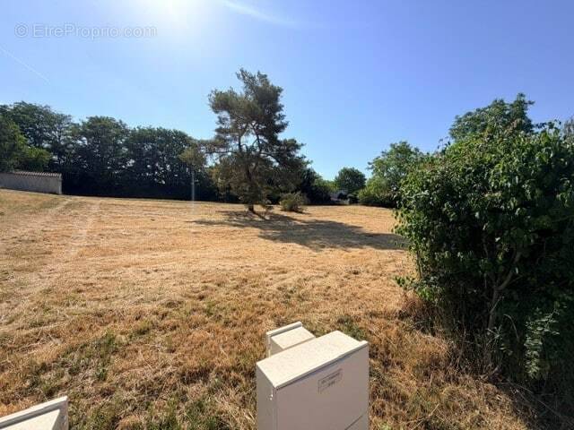 Terrain à COULANGES-LES-NEVERS