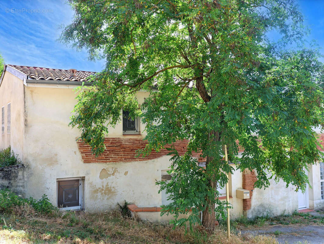 Maison 83 m² à Montgaillard-Lauragais  - photo 3