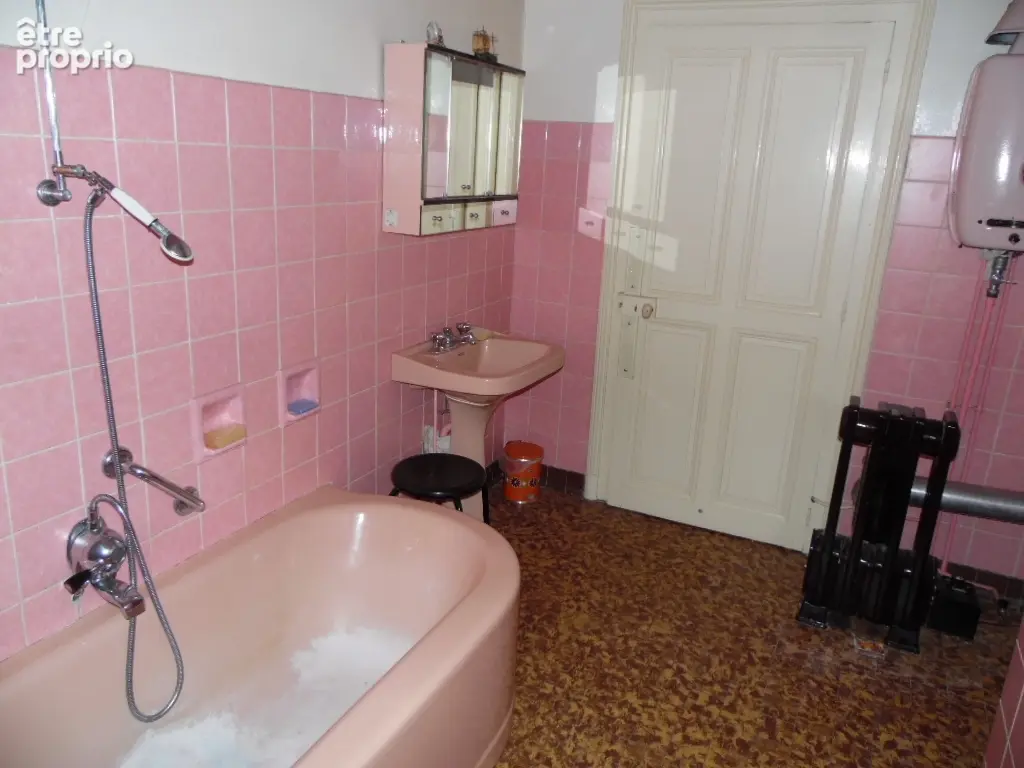 Maison 255 m² à Moussey  - photo 19