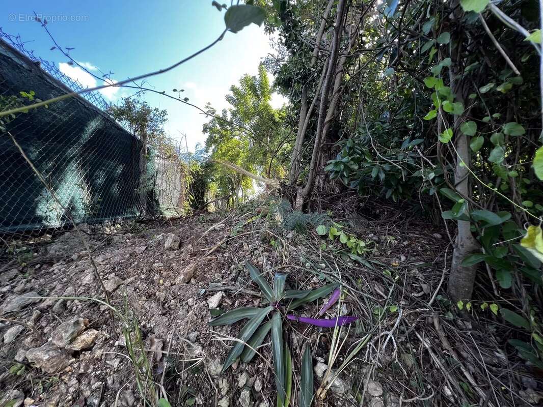 Terrain à SAINTE-ANNE