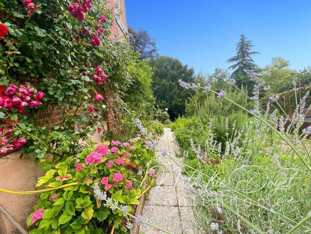 Maison à vendre 6 pièces VIGNEUX HOCQUET (02) - photo 28