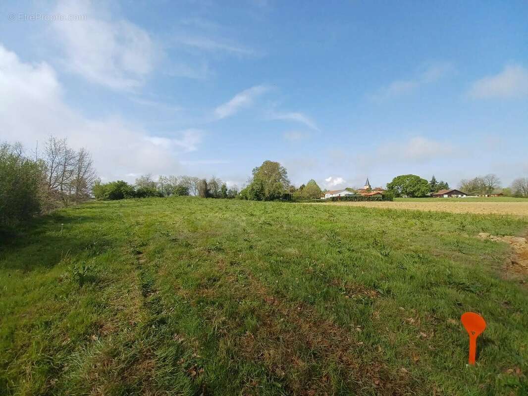 Terrain constructible à vendre | Magnan | Gers | Terrain constructible de 3690 m2 - Calme et belle vue - Terrain à MAGNAN