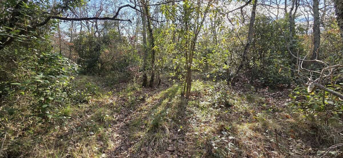 Terrain à SAINT-QUENTIN-LA-POTERIE