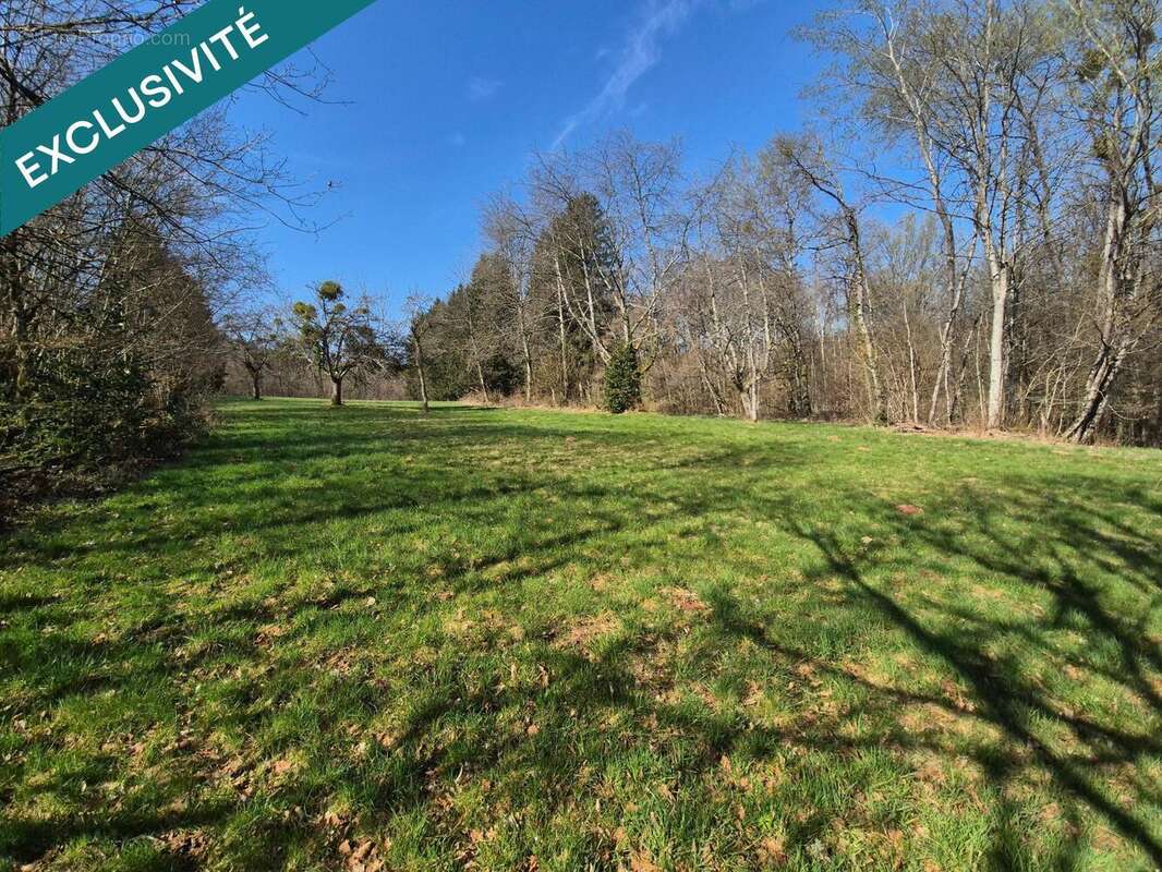 Photo 8 - Maison à ETUEFFONT