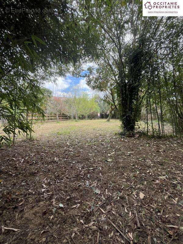 Terrain à L&#039;ISLE-EN-DODON