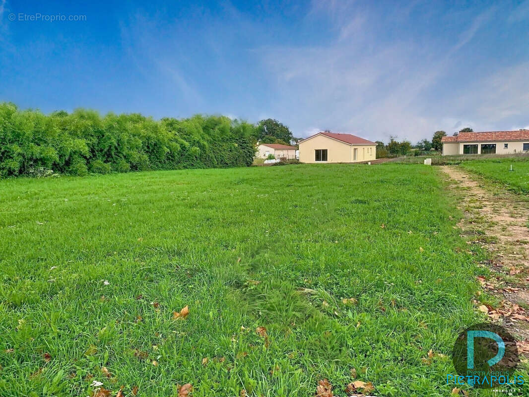 Terrain à SAINT-BENIGNE