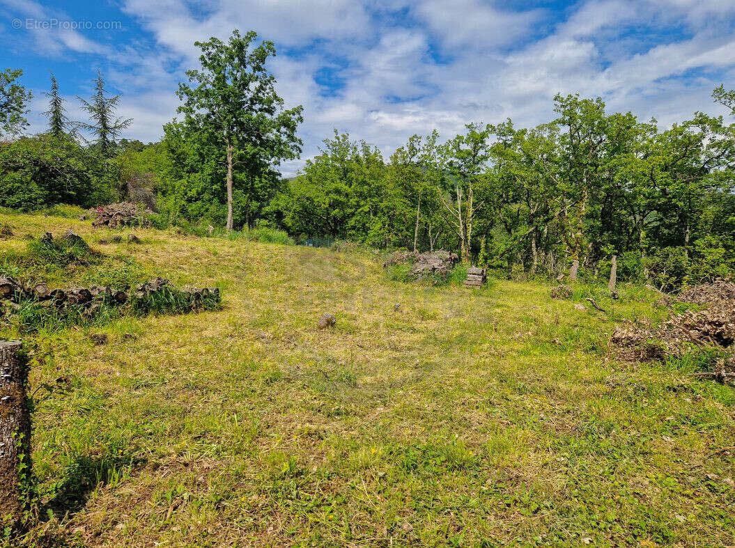 Terrain à COUX