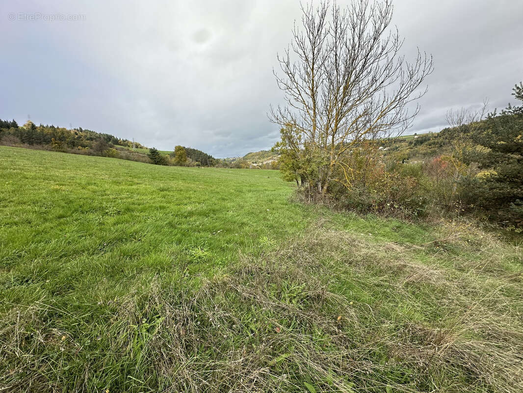 Terrain à PONT-SALOMON