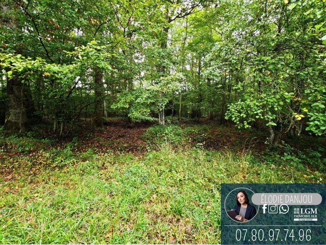 Maison à SAINT-HILAIRE-LA-GRAVELLE