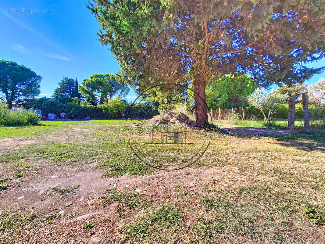 Terrain à CHEVAL-BLANC