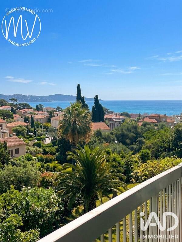 Photo Appartement à Nice au prix de 339 000€