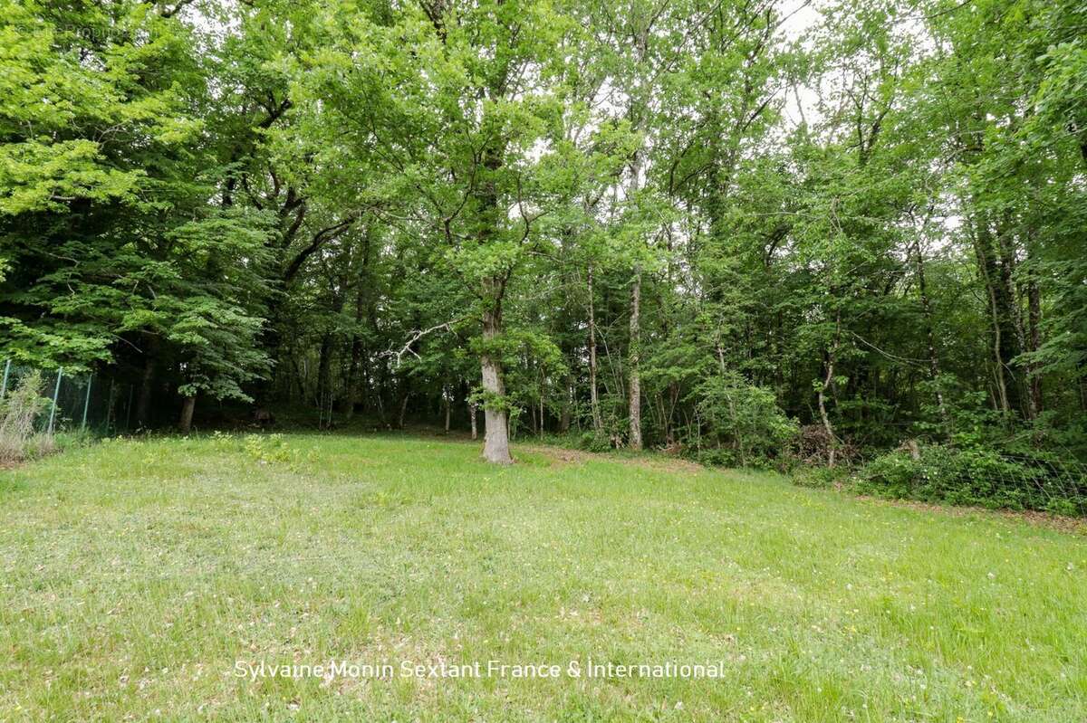 Maison rénovée de plain-pied avec jardin au calme - photo 5