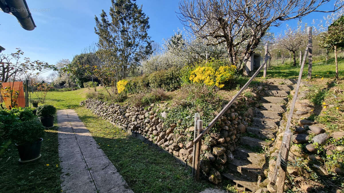 Maison à TOURNAY