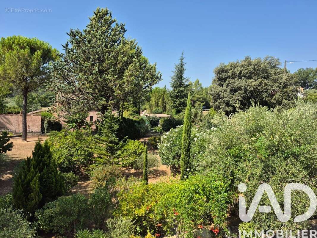 Photo 3 - Maison à LORGUES