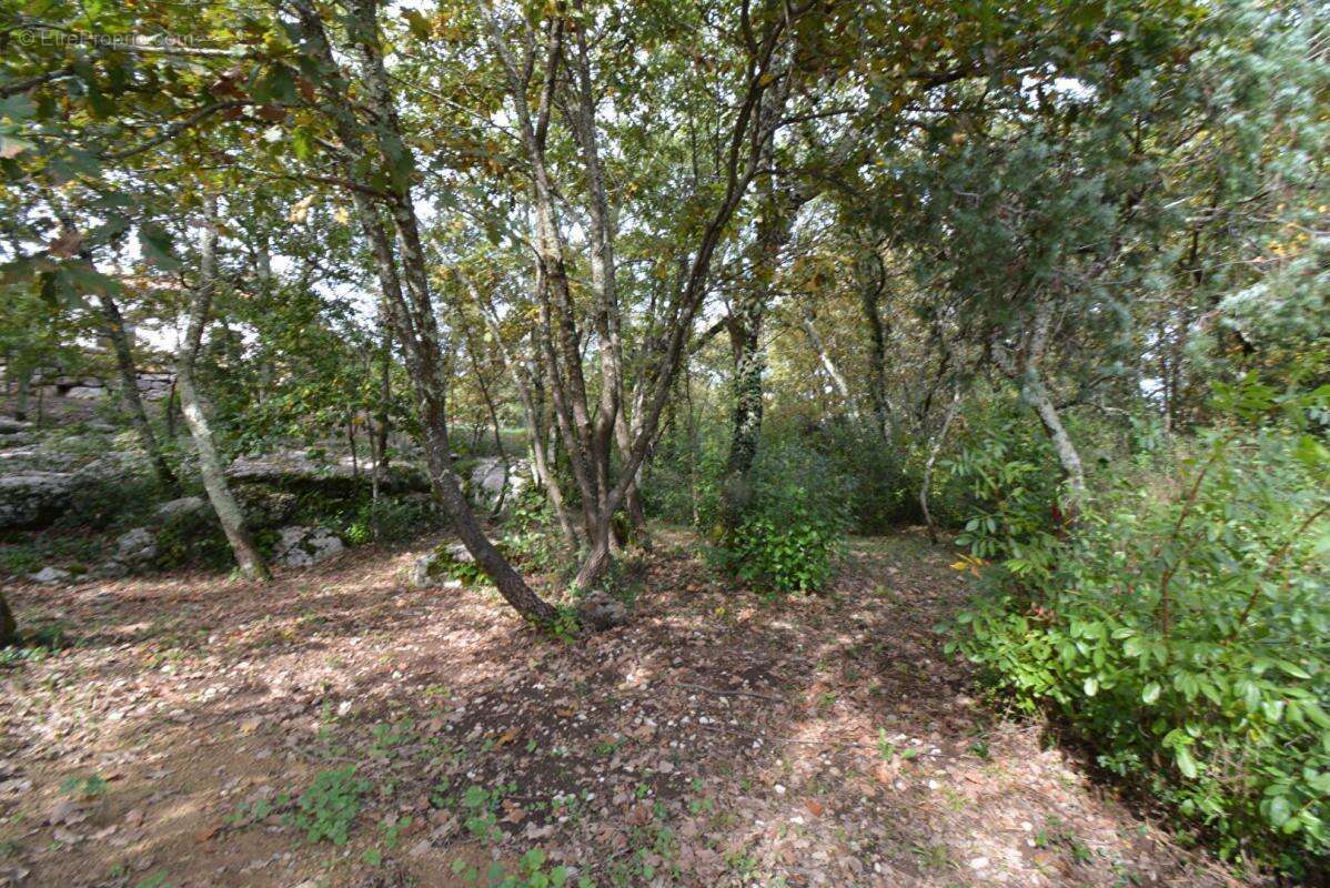 Terrain  1794 m2 - photo 3