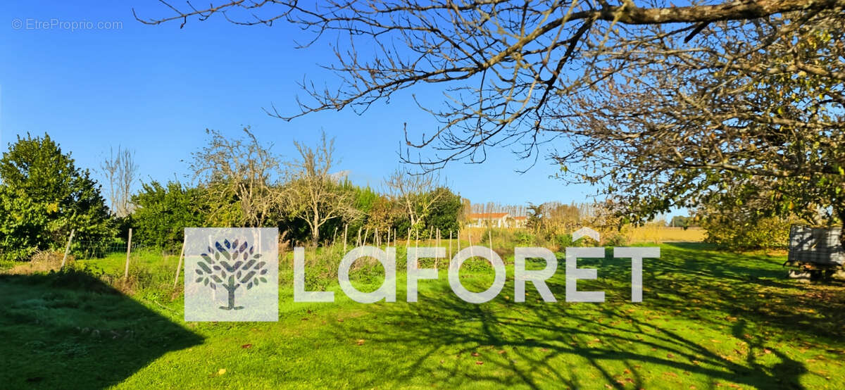 Maison à MONTPELLIER-DE-MEDILLAN