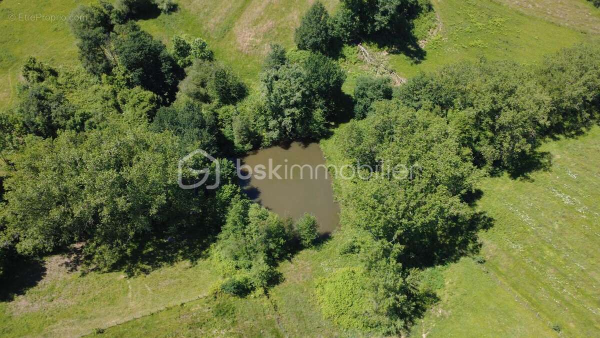  le domaine des possibles infinis  - photo 7