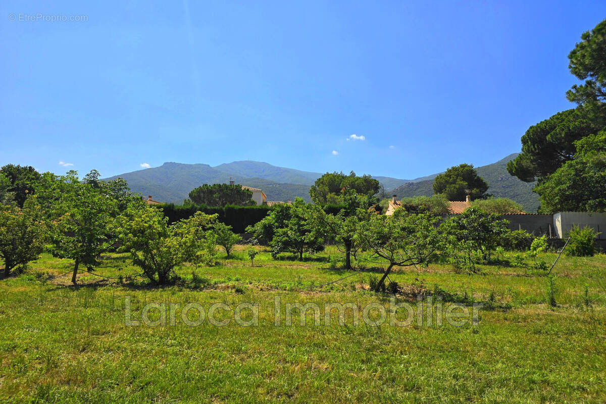 Terrain à LAROQUE-DES-ALBERES