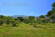 Terrain à LAROQUE-DES-ALBERES