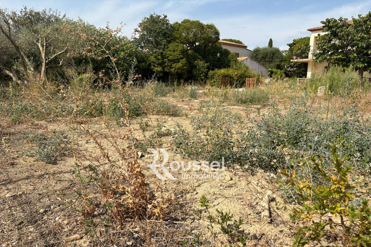 Terrain 355 m² à Poussan  - photo 4